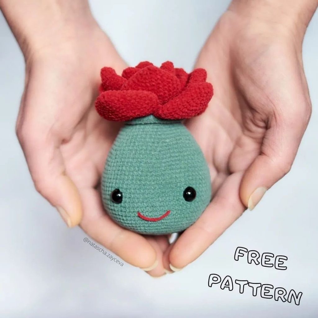 Succulent amigurumi tarifi