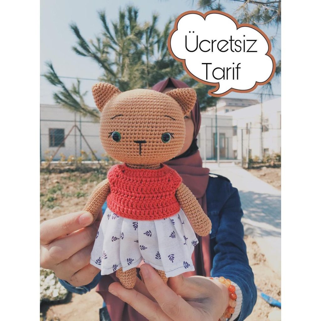Shay Kedi amigurumi tarifi