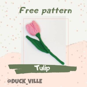 Tulip