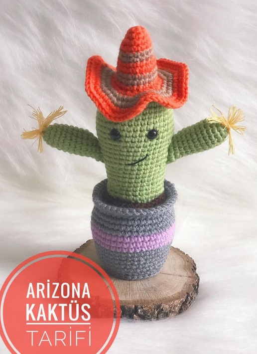 Arizona Kaktüs amigurumi tarifi