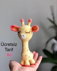 The Giraffe