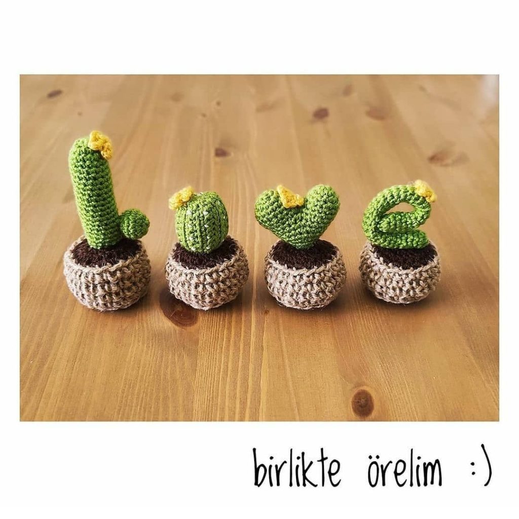 Love Kaktüs amigurumi tarifi