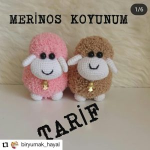 Merinos Kuzu