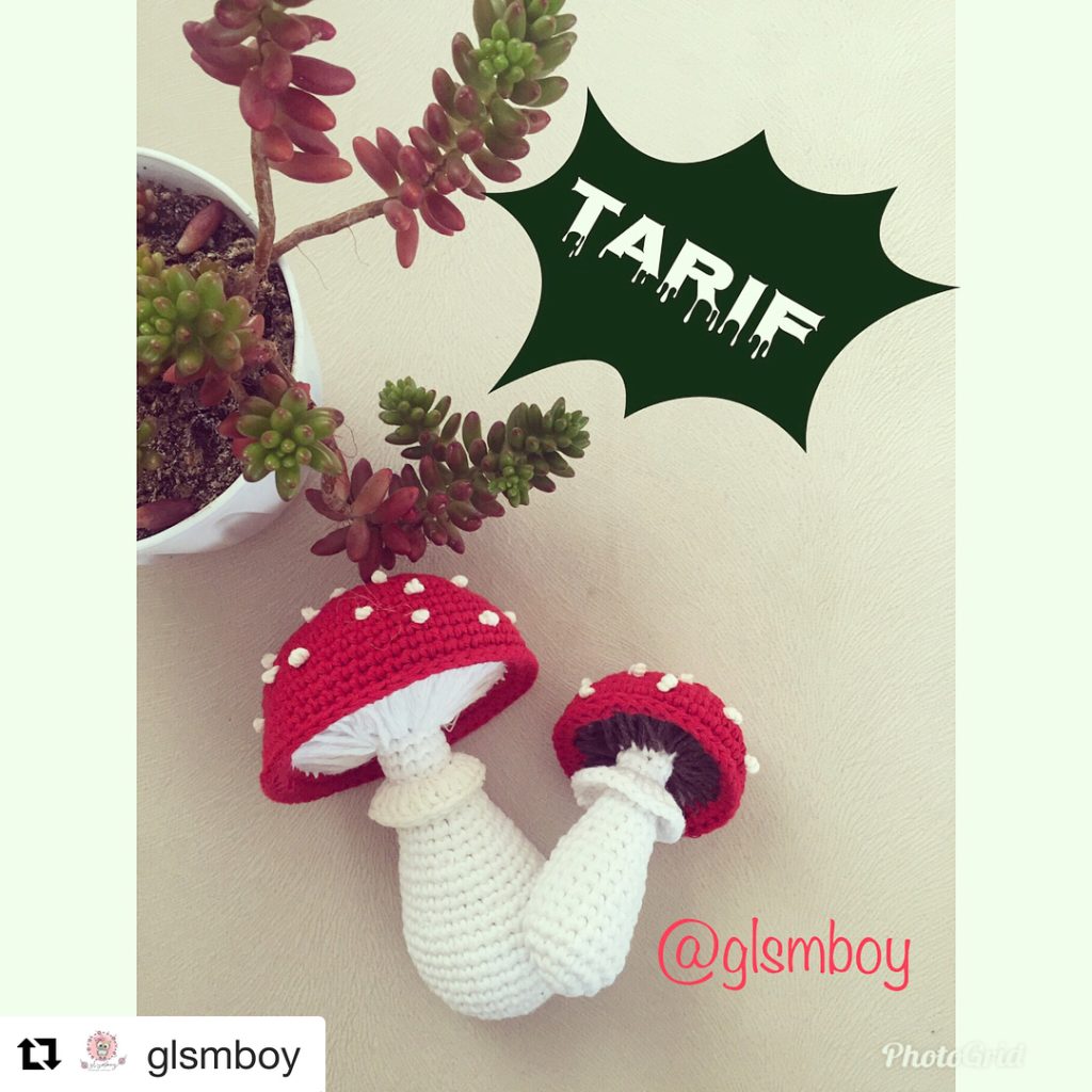 Mantar amigurumi tarifi