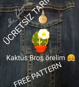 Kaktüs Broş