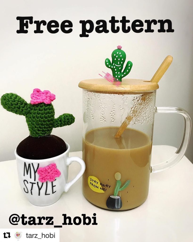 Kaktüs amigurumi tarifi