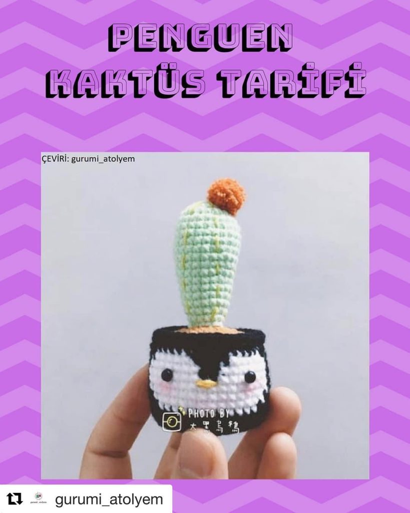 Penguen Kaktüs amigurumi tarifi