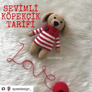 Sevimli Köpekçik