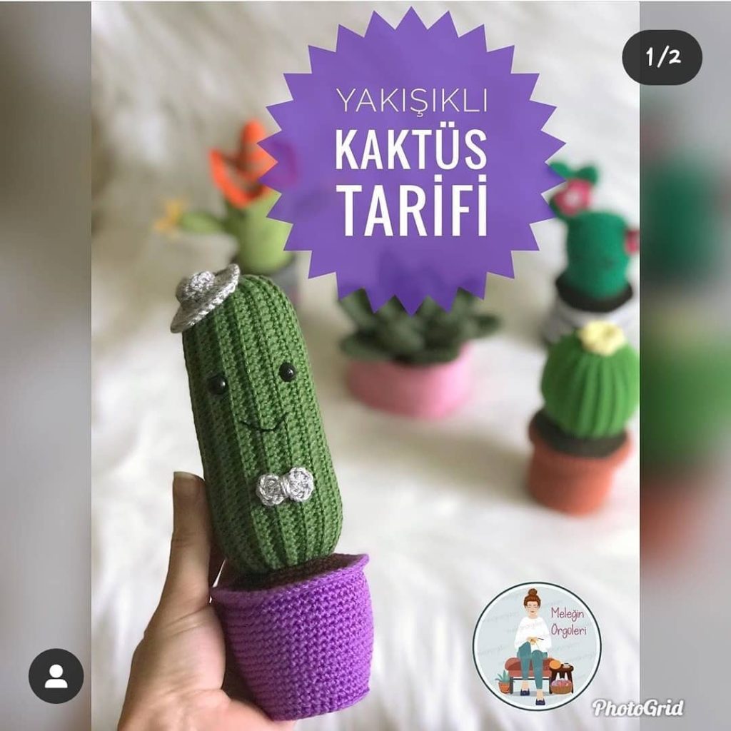 Yakışıklı Kaktür amigurumi tarifi