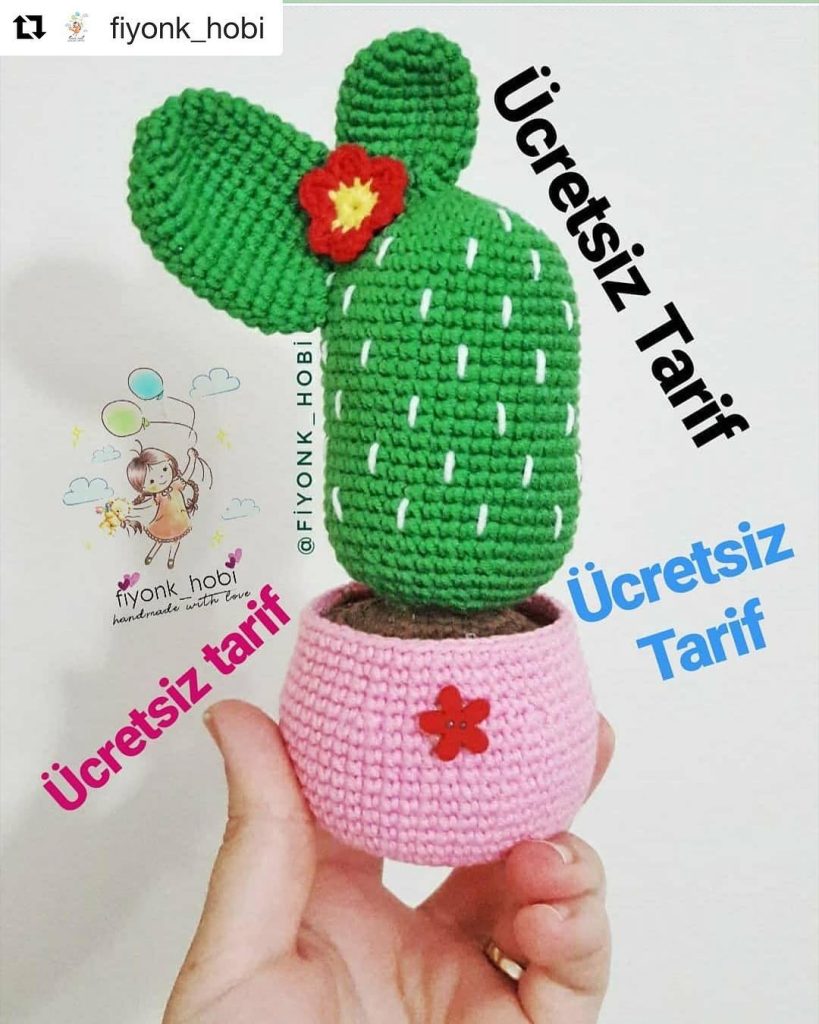 Kaktüs Tarifi amigurumi tarifi