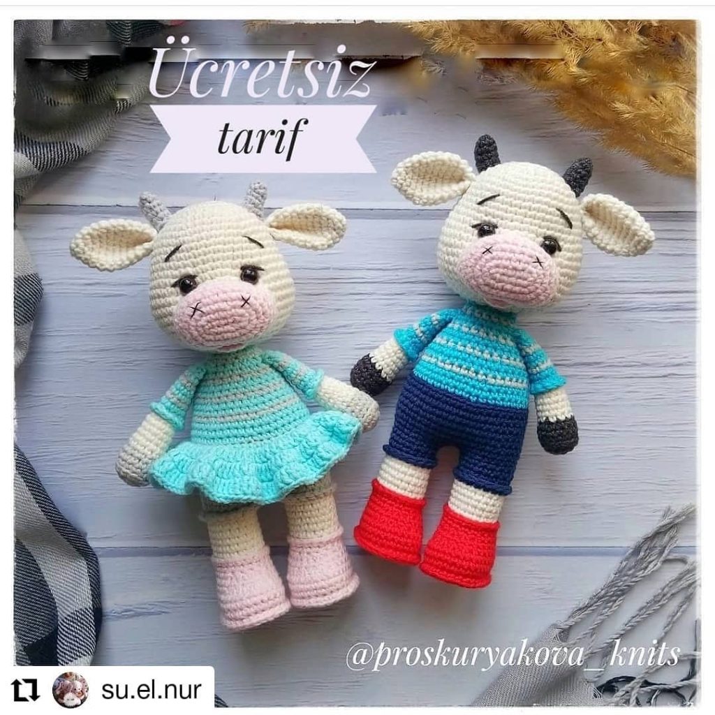 İnek Ailesi amigurumi tarifi