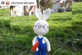 Orgum.net - Ücretsiz Örgü Modelleri Ve Amigurumi Tarifleri