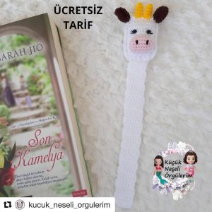 Buzu Kitap Ayracı