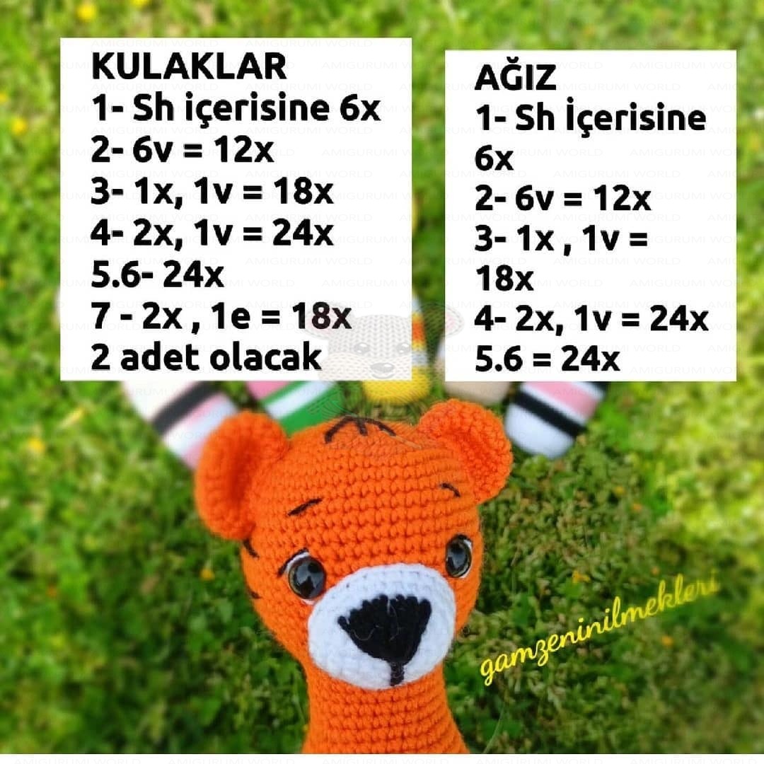Adım 6
