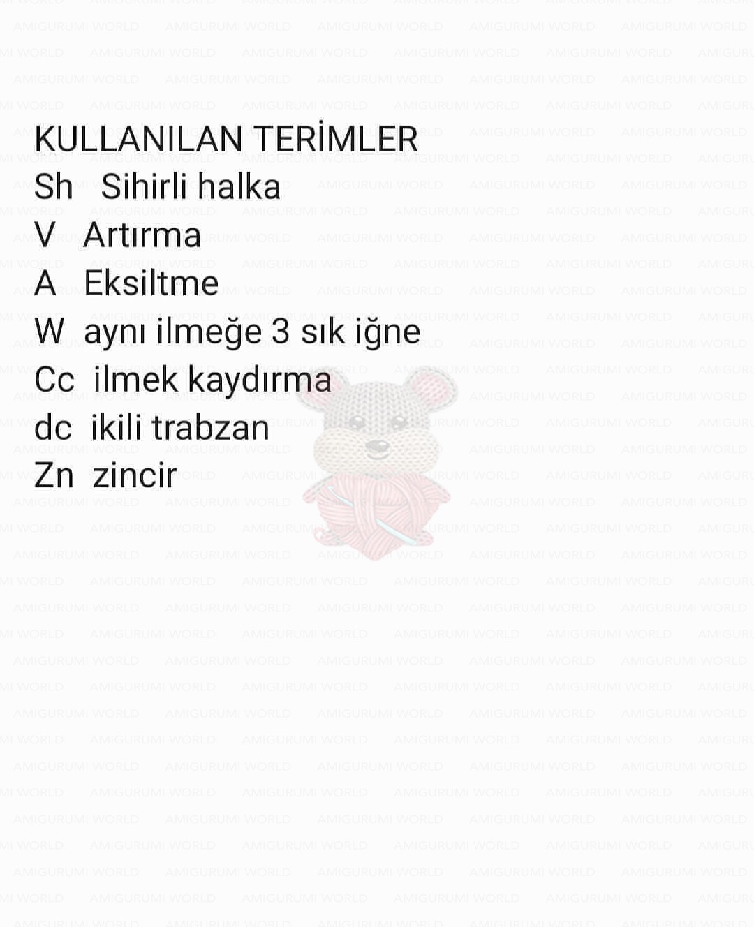 Adım 10