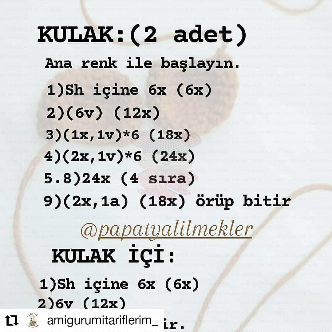 Adım 6