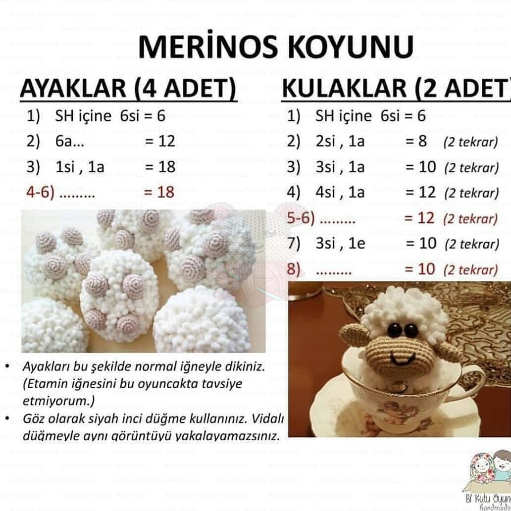 Adım 5