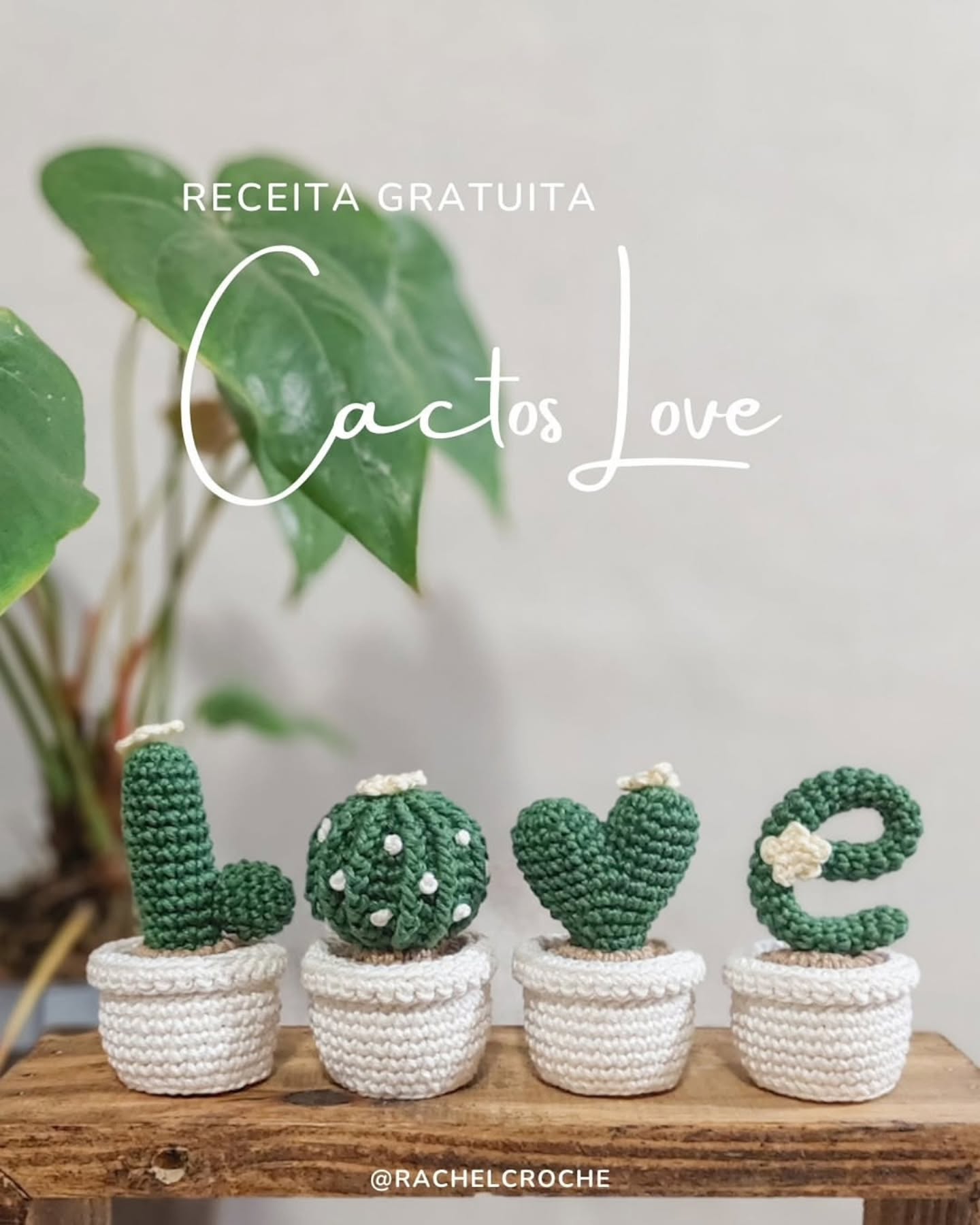 Love Harfli Kaktüs Amigurumi Amigurumi