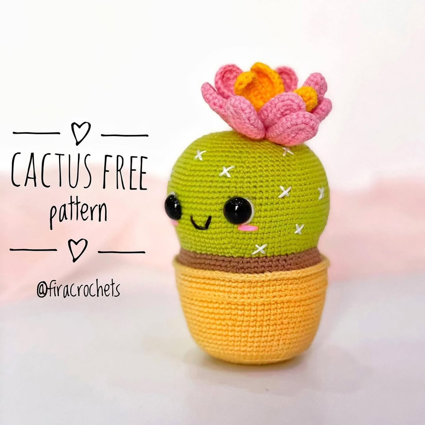 Kaktüs Amigurumi Amigurumi