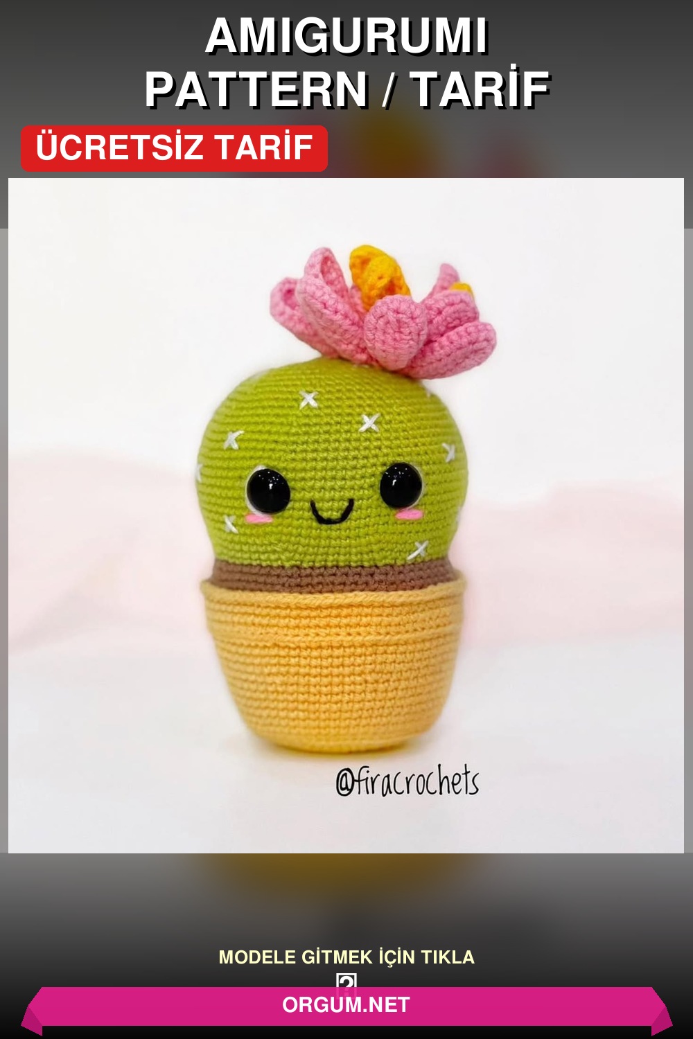 Kaktüs Amigurumi Amigurumi Tarifi Pin