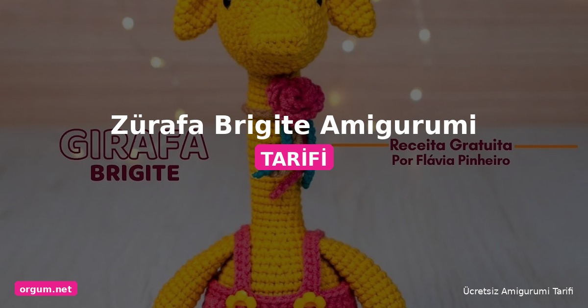 Orgum.net - Ücretsiz Örgü Modelleri Ve Amigurumi Tarifleri