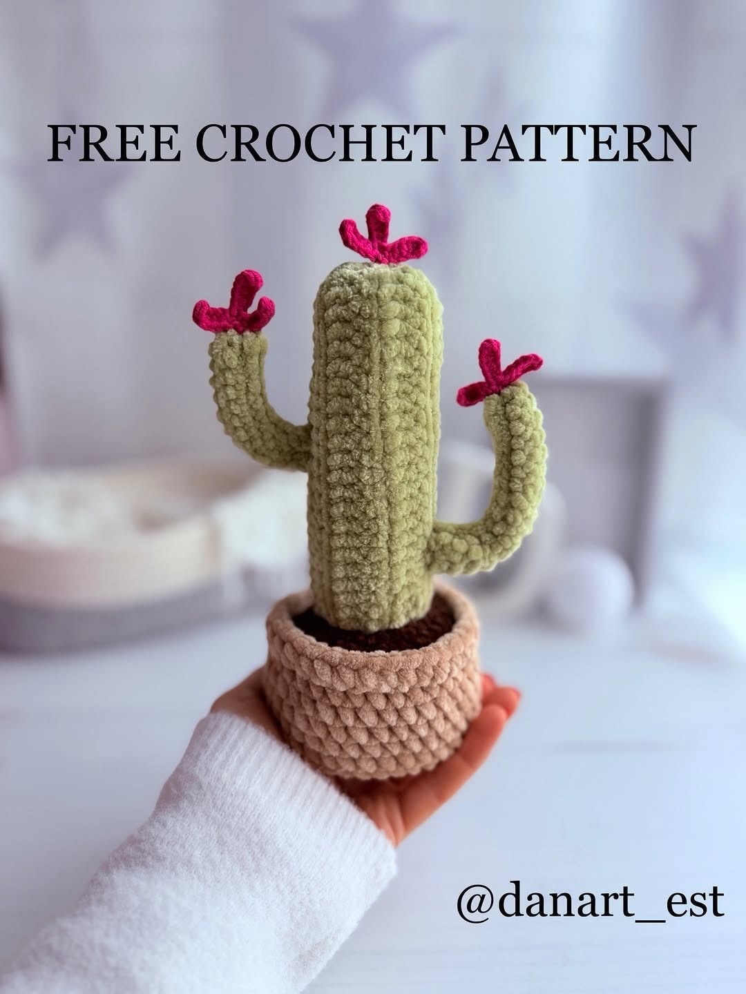 Amigurumi Kaktüs Saksıda Amigurumi