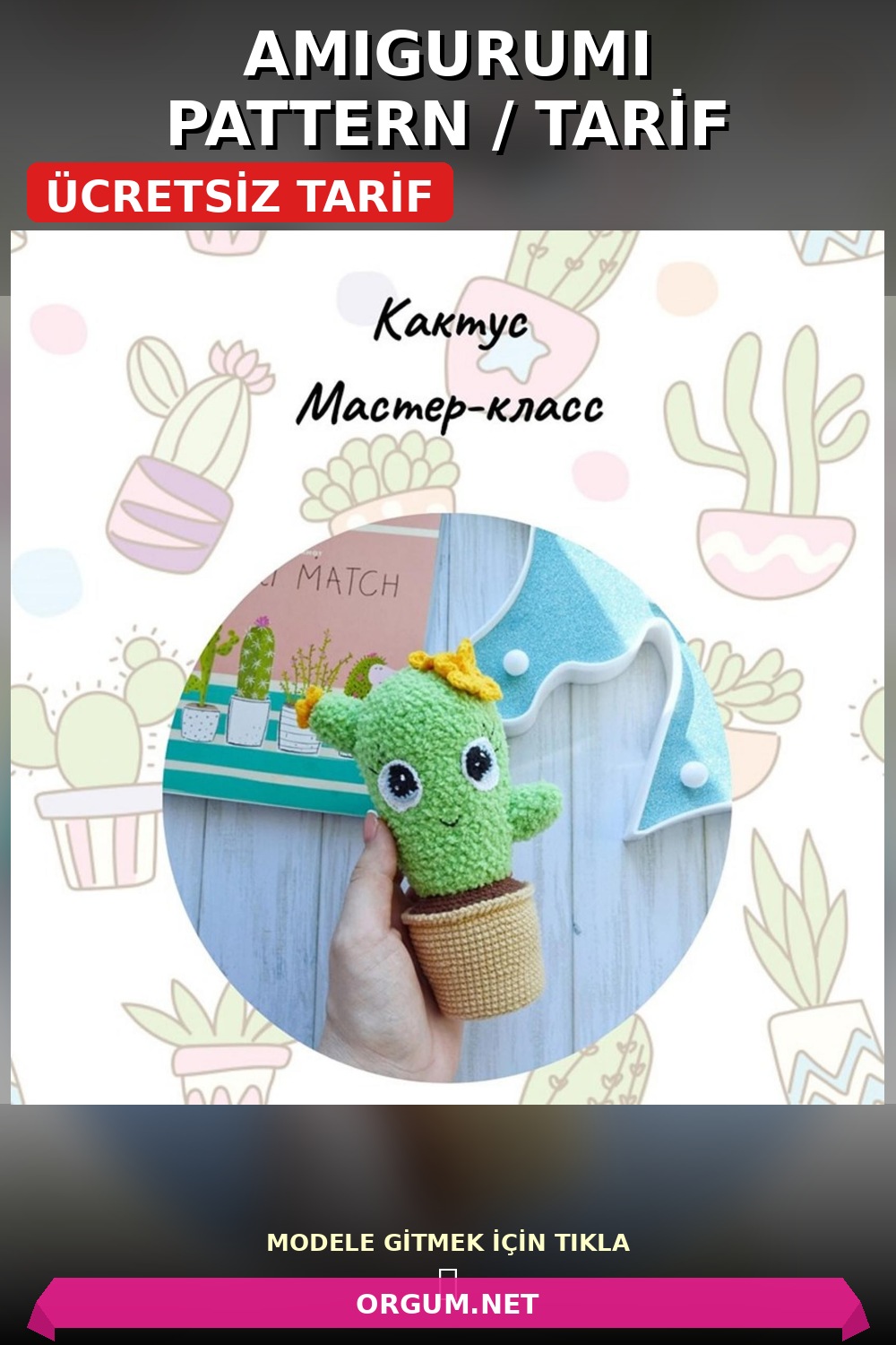 Kaktüs Amigurumi Amigurumi Tarifi Pin