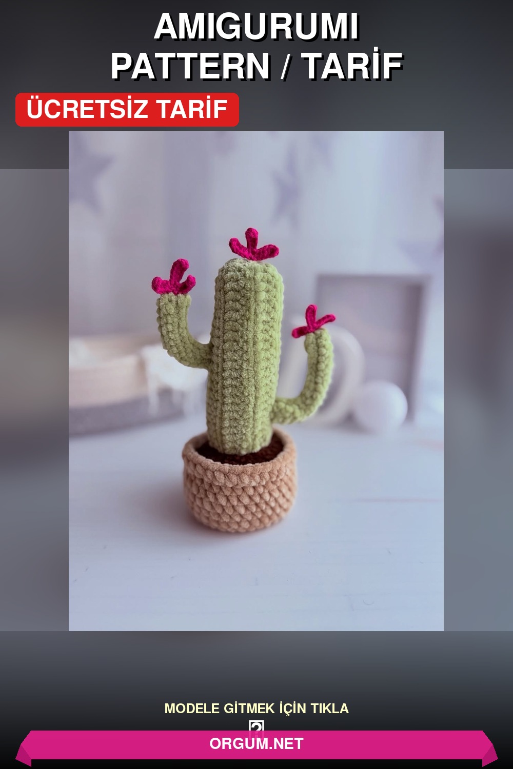 Amigurumi Kaktüs Saksıda Amigurumi Tarifi Pin