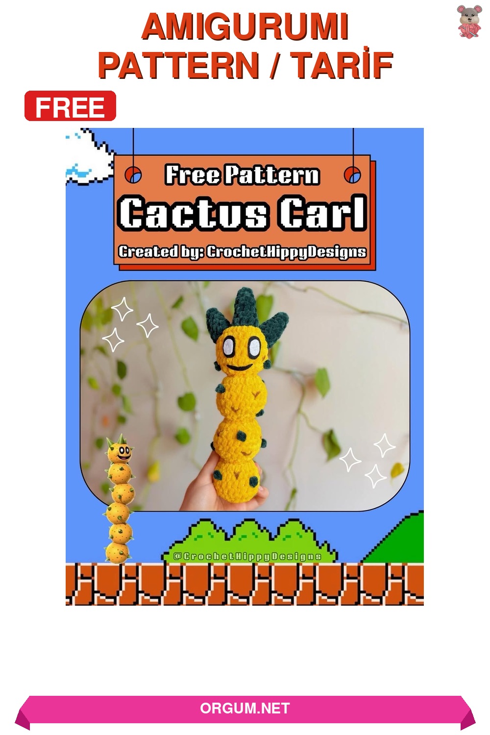 Kaktüs Carl Amigurumi Tarifi Pin