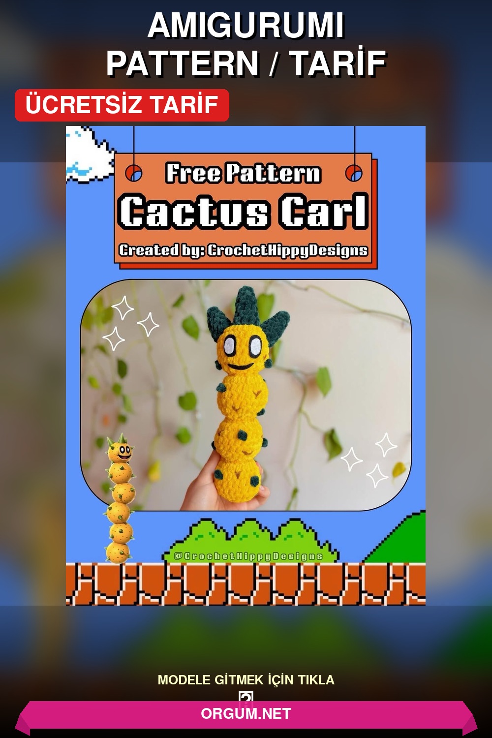 Kaktüs Carl Amigurumi Tarifi Pin