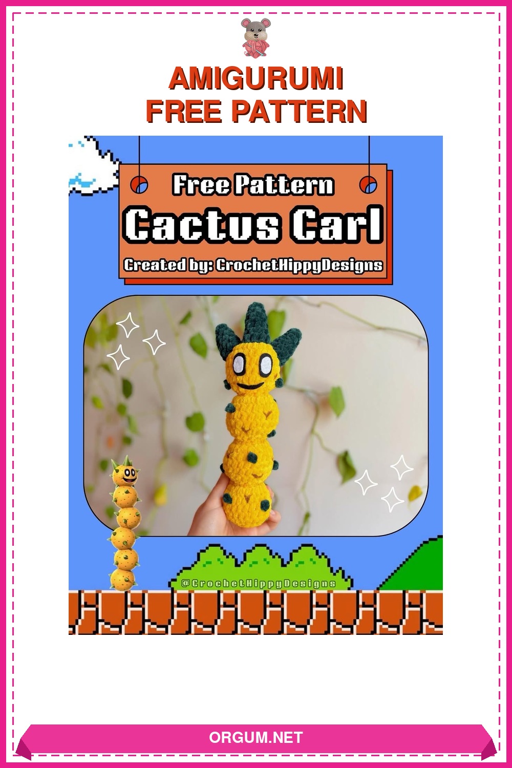 Kaktüs Carl Amigurumi Tarifi Pin