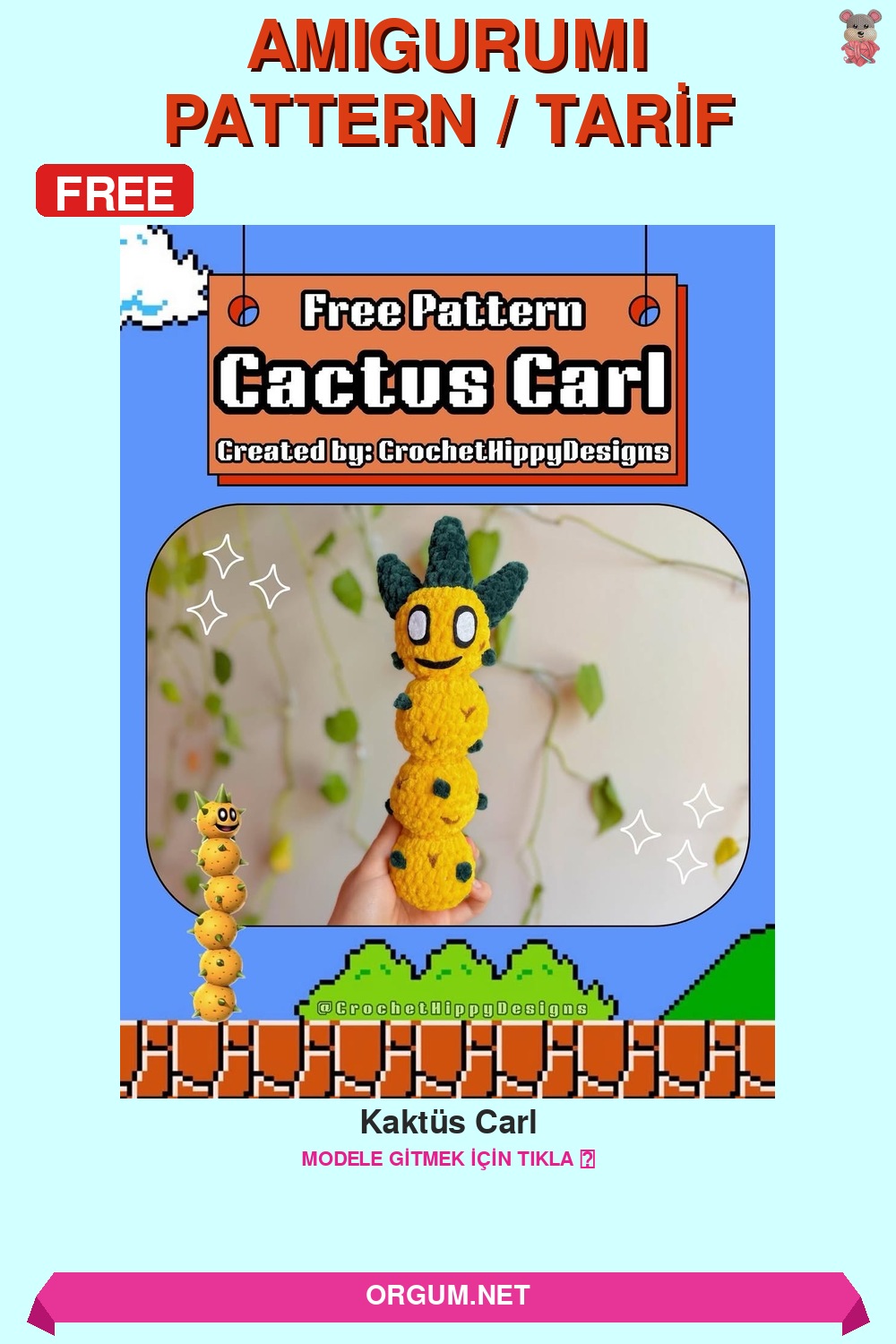Kaktüs Carl Amigurumi Tarifi Pin