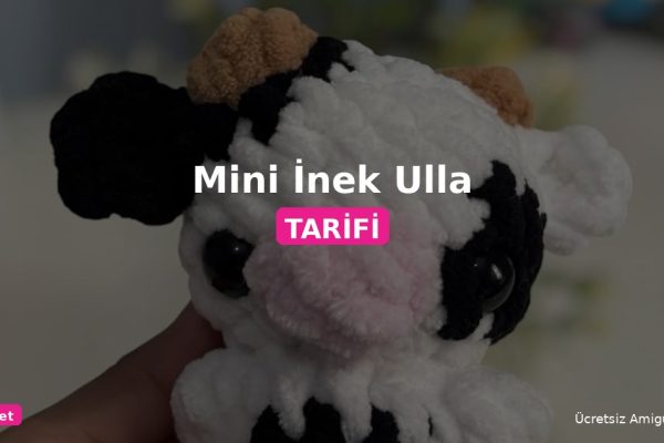Orgum.net - Ücretsiz Örgü Modelleri Ve Amigurumi Tarifleri