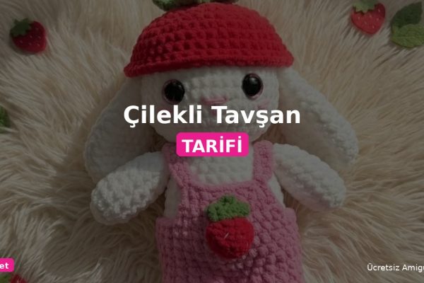 Orgum.net - Ücretsiz Örgü Modelleri Ve Amigurumi Tarifleri
