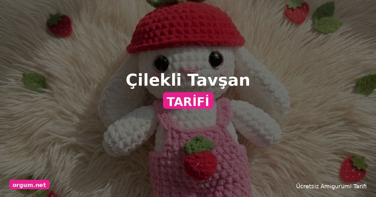 Orgum.net - Ücretsiz Örgü Modelleri Ve Amigurumi Tarifleri